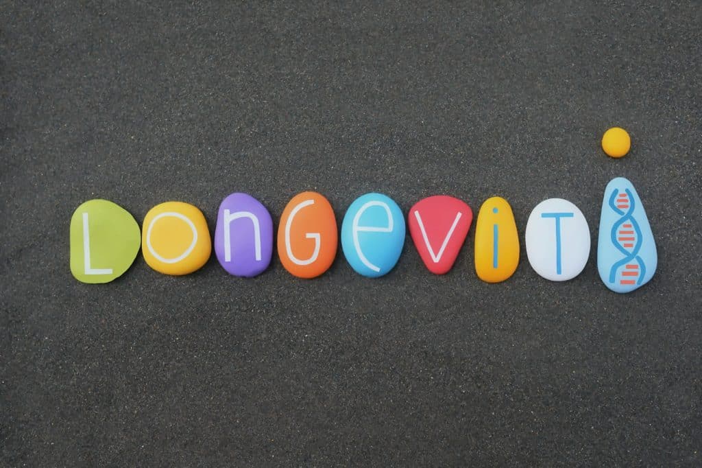 Longevity, long life word composed with multicolored stone letters over black volcanic sand Longevity, long life word composed with multicolored stone letters over black volcanic sand